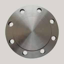 SS Blind Flanges